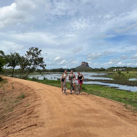 Sigiri Shen Residence Sigiriya Ngoại thất bức ảnh
