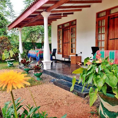 Sigiri Shen Residence Sigiriya Ngoại thất bức ảnh