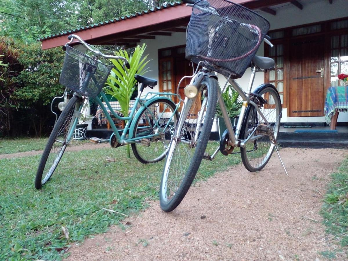 Sigiri Shen Residence Sigiriya Ngoại thất bức ảnh