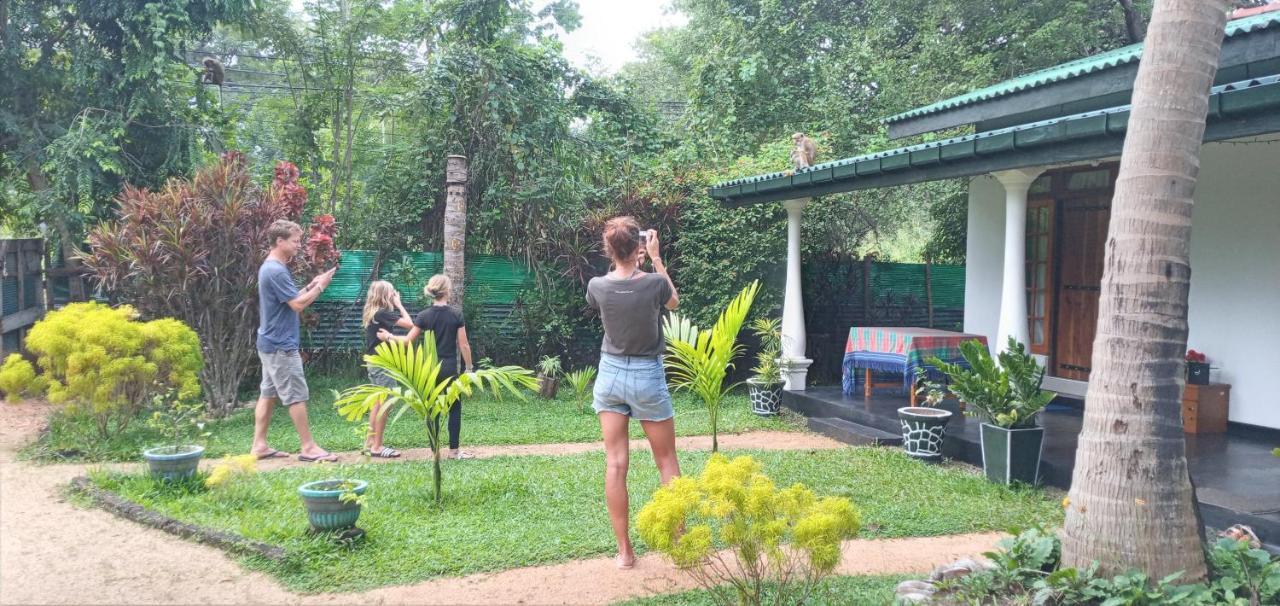 Sigiri Shen Residence Sigiriya Ngoại thất bức ảnh