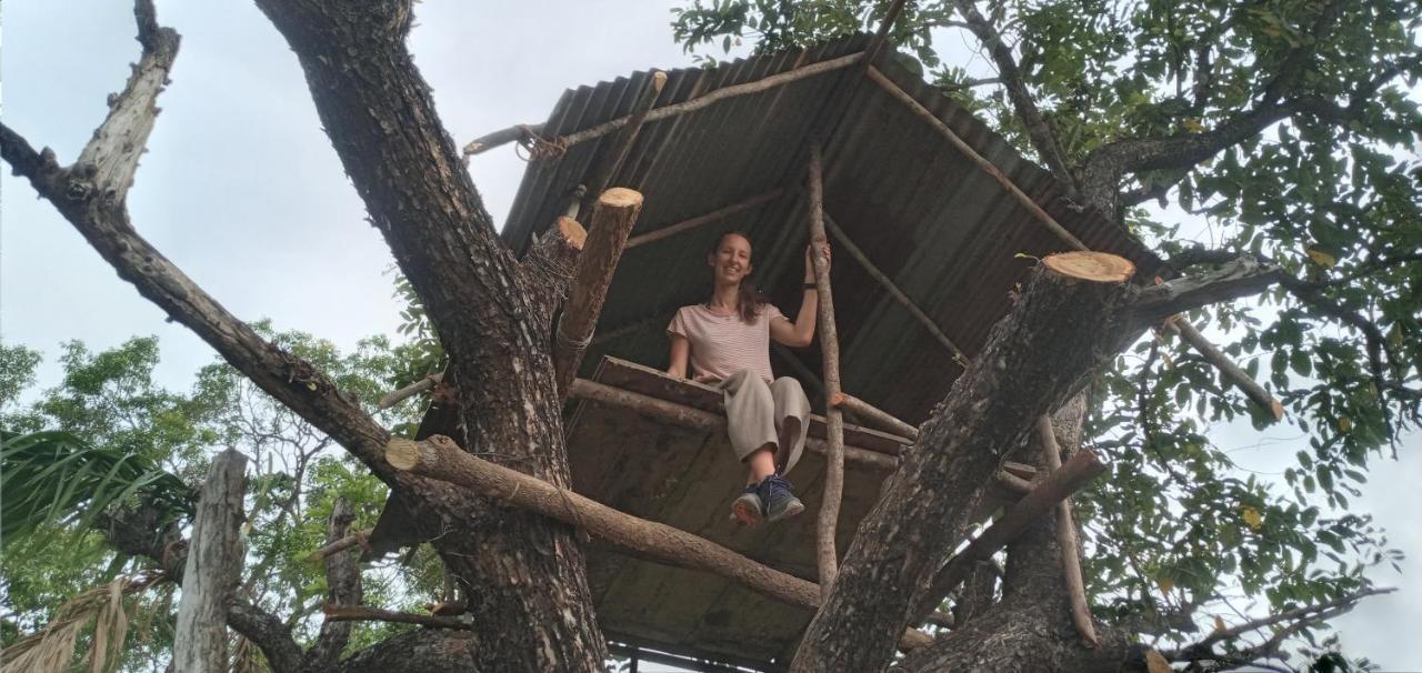 Sigiri Shen Residence Sigiriya Ngoại thất bức ảnh