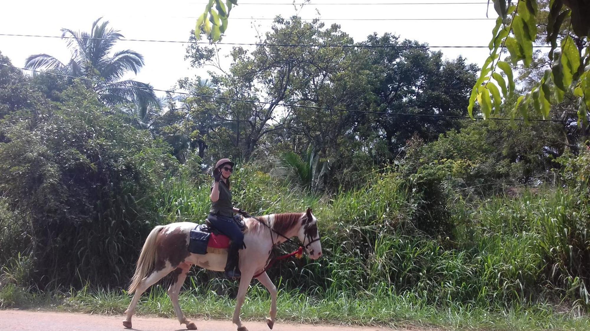 Sigiri Shen Residence Sigiriya Phòng bức ảnh