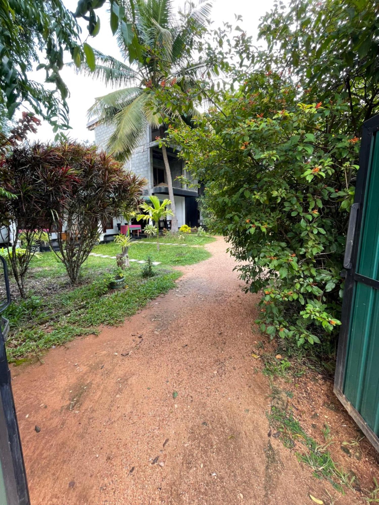 Sigiri Shen Residence Sigiriya Ngoại thất bức ảnh