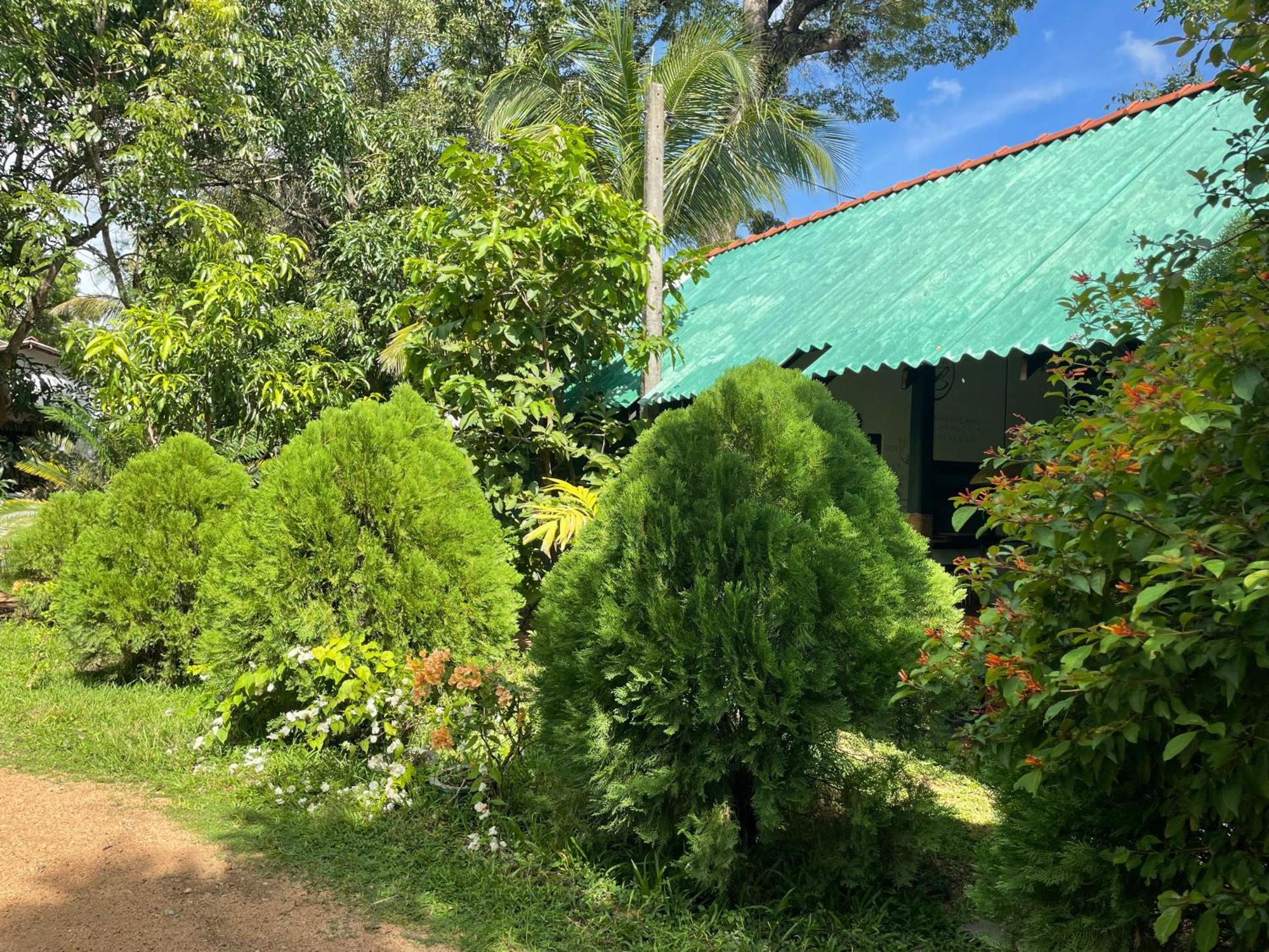 Sigiri Shen Residence Sigiriya Ngoại thất bức ảnh