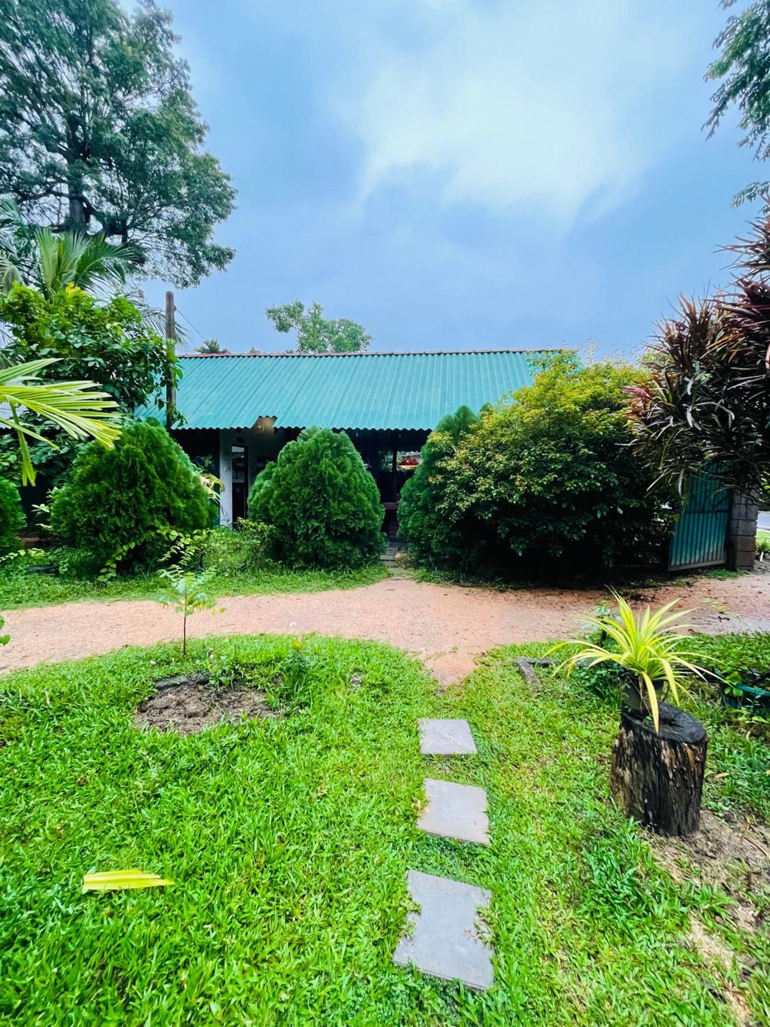 Sigiri Shen Residence Sigiriya Ngoại thất bức ảnh