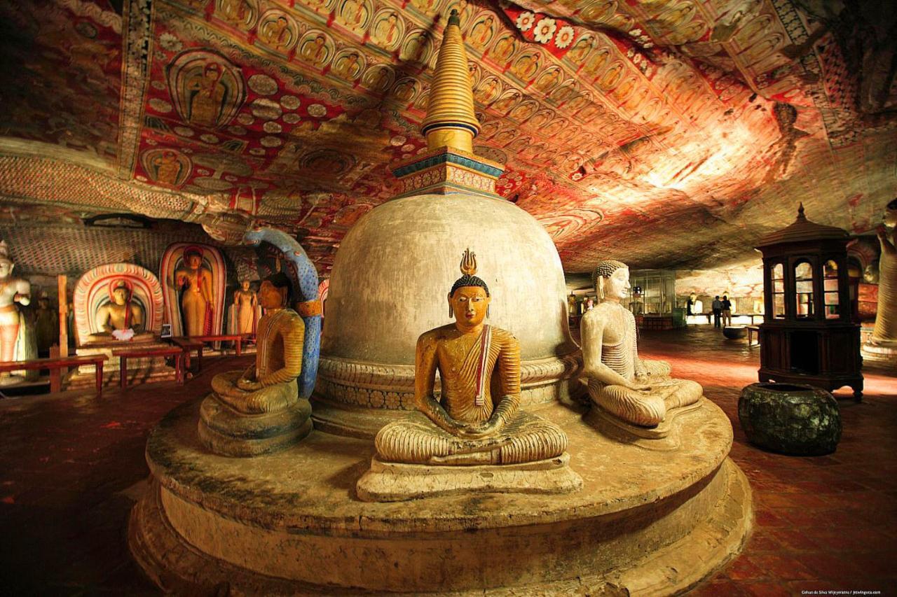 Sigiri Shen Residence Sigiriya Ngoại thất bức ảnh