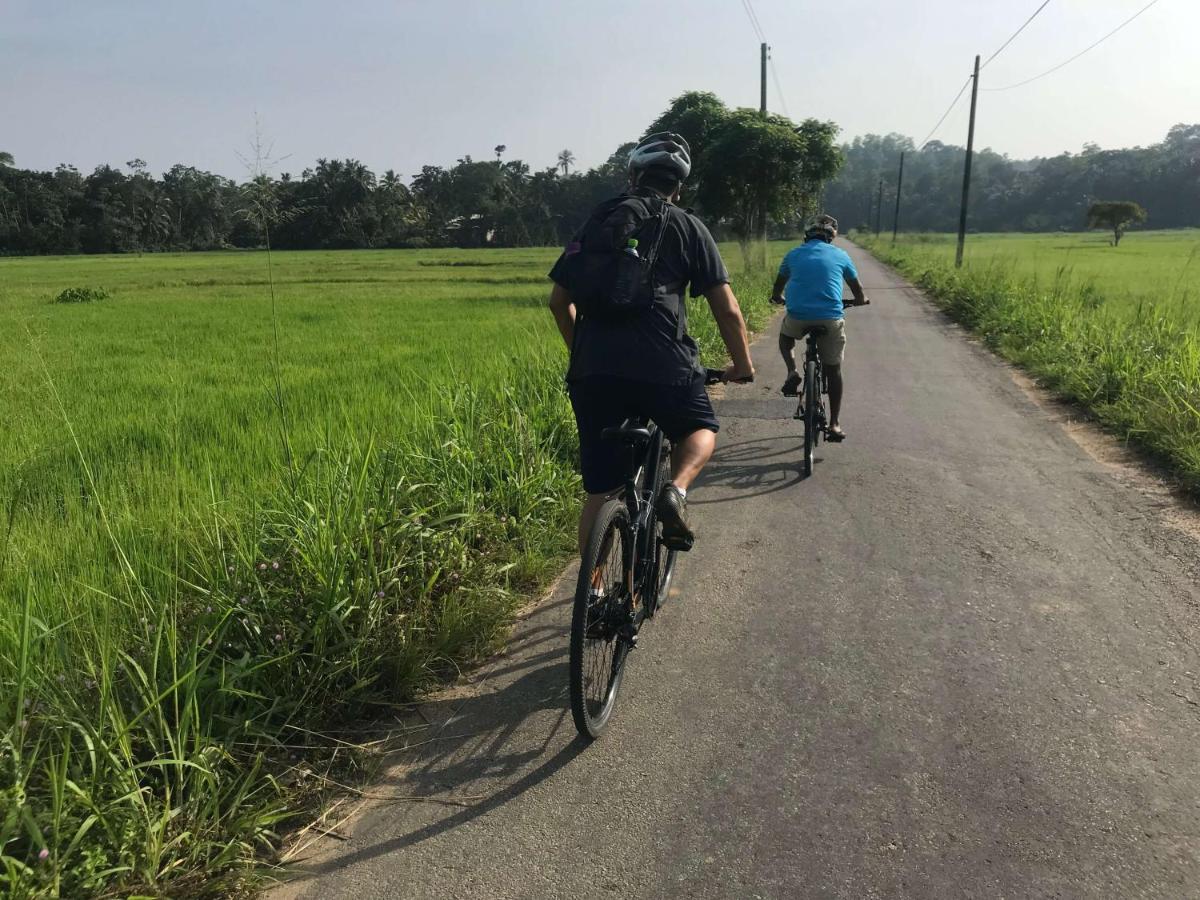 Sigiri Shen Residence Sigiriya Ngoại thất bức ảnh