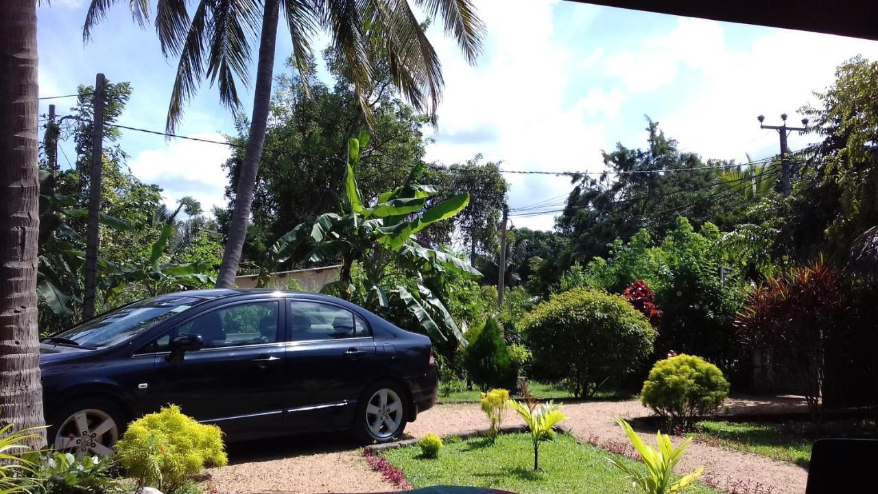 Sigiri Shen Residence Sigiriya Ngoại thất bức ảnh